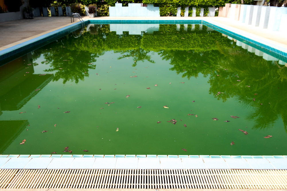 What Happens if you Swim in a Green Swimming Pool?